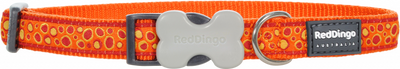 Red Dingo Bedrock Desenli Turuncu Köpek Boyun Tasması 12mm