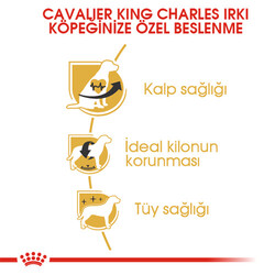 Royal Canin Cavalier King Charles Yetişkin Köpek Maması 1,5 Kg - Thumbnail