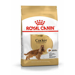 Royal Canin Cocker Adult Yetişkin Köpek Maması 3 Kg - Thumbnail