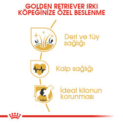 Royal Canin Golden Retriever Yetişkin Köpek Maması 12 Kg - Thumbnail