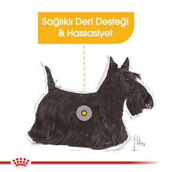 Royal Canin Mini Dermacomfort Yetişkin Köpek Maması 3 Kg - Thumbnail