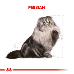 Royal Canin Persian Adult Pouch Kedi Maması 85 Gr - Thumbnail