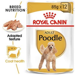 Royal Canin Poodle Pouch Köpek Konservesi 85 Gr - Thumbnail