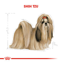 Royal Canin Shihtzu Yetişkin Köpek Maması 1,5 Kg - Thumbnail